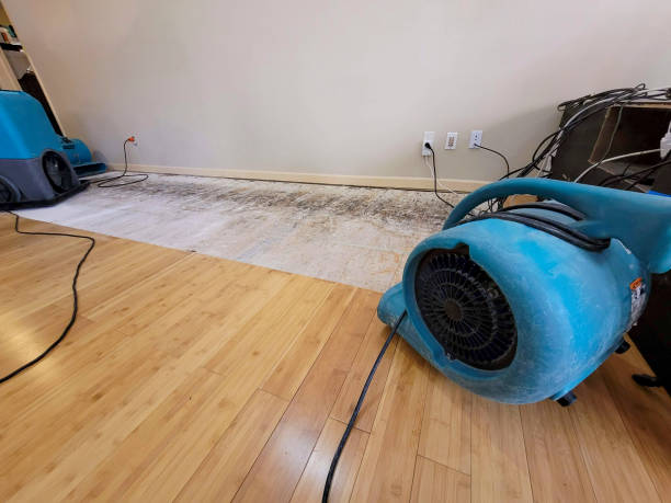 Reliable Flood Damage Restoration contractor in Pocasset, OK by Hirex Water Damage